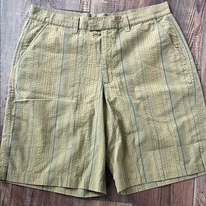 Patagonia Men's Olive Striped Shorts
